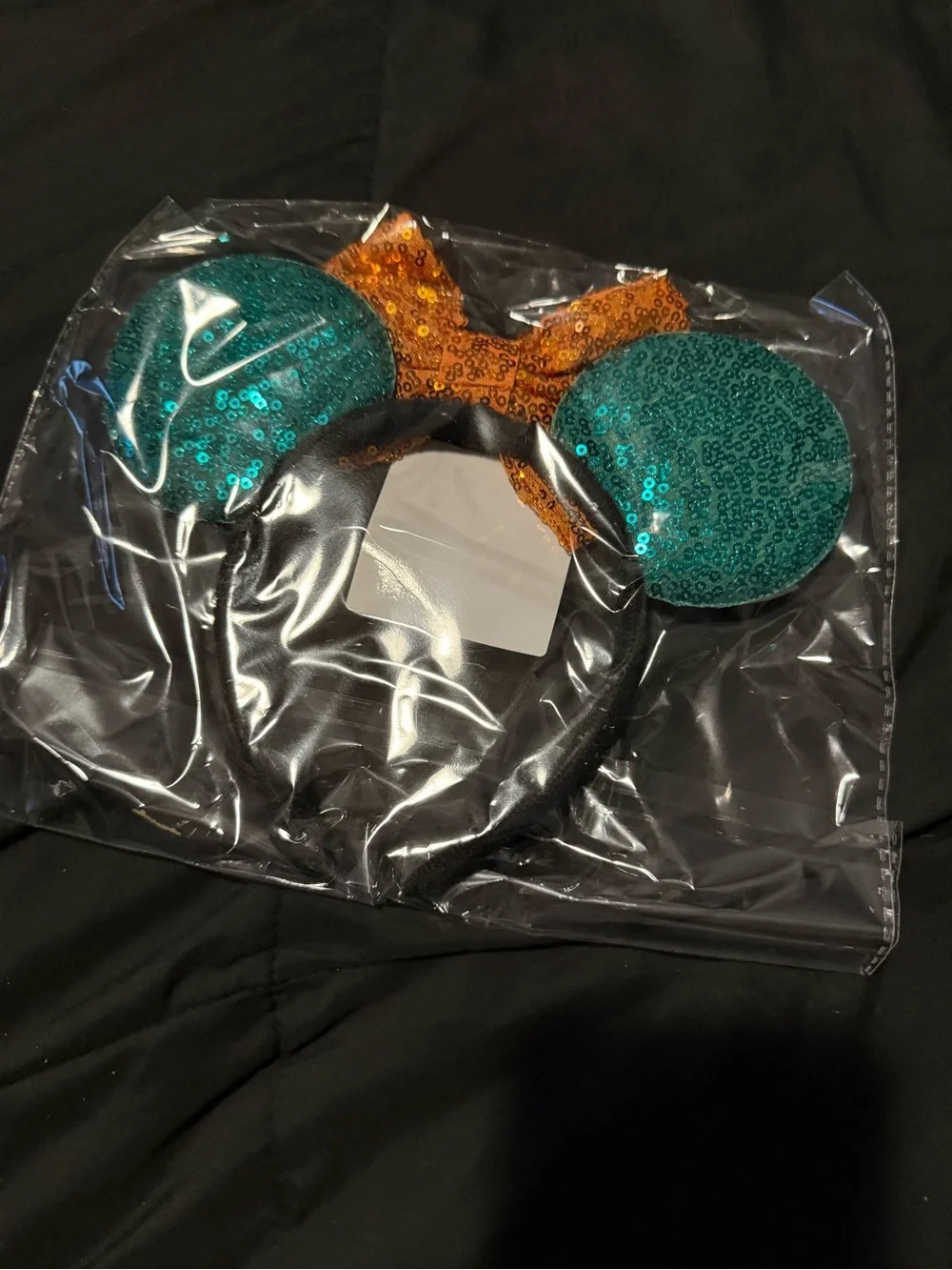 Merida Mickey Ears